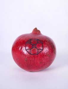 FRUIT
