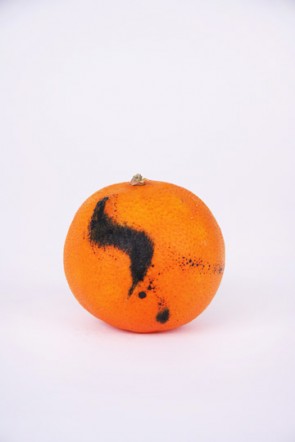 bloodorange