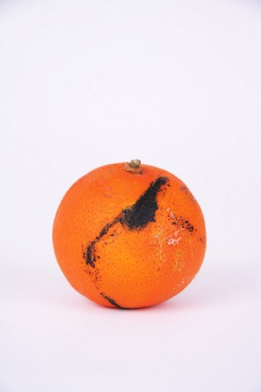 bloodorange1
