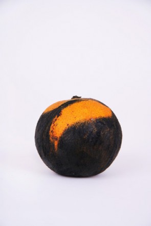 bloodorange2
