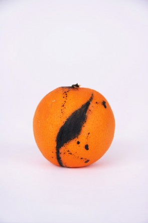 bloodorange5