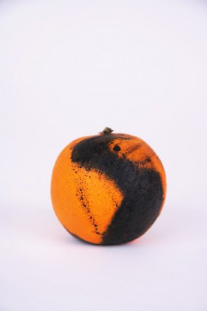bloodorange6