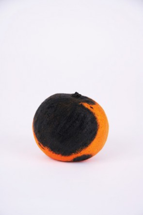 bloodorange7